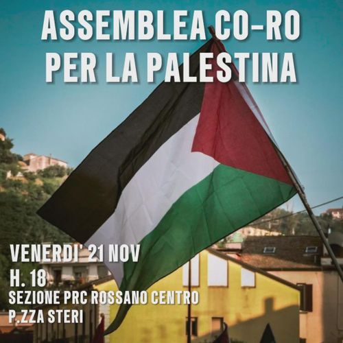 Assemblea Co-Ro per la Palestina