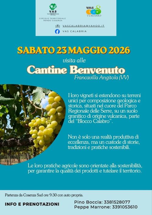 Visita alle Cantine Benvenuto