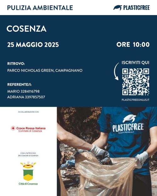 Clean up Plasticfree