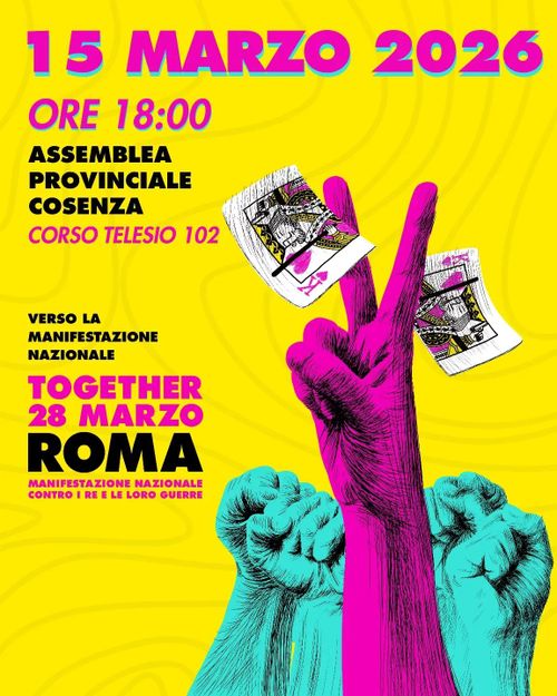 ASSEMBLEA PROVINCIALE - NO KINGS