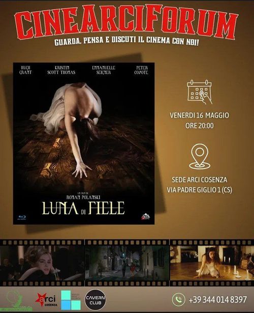 CineArciForum 