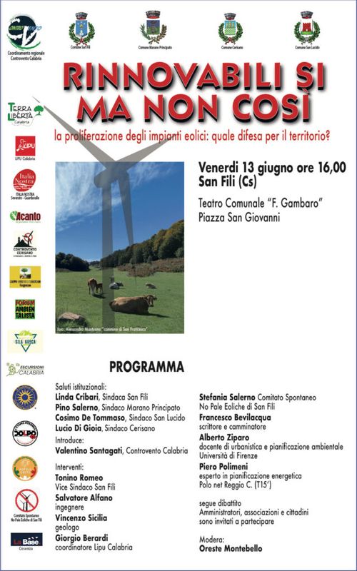 Rinnovabili sì, ma non così